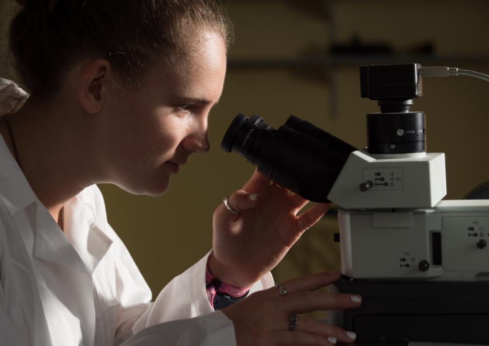 Carleigh Cimmerer at the spectrometer