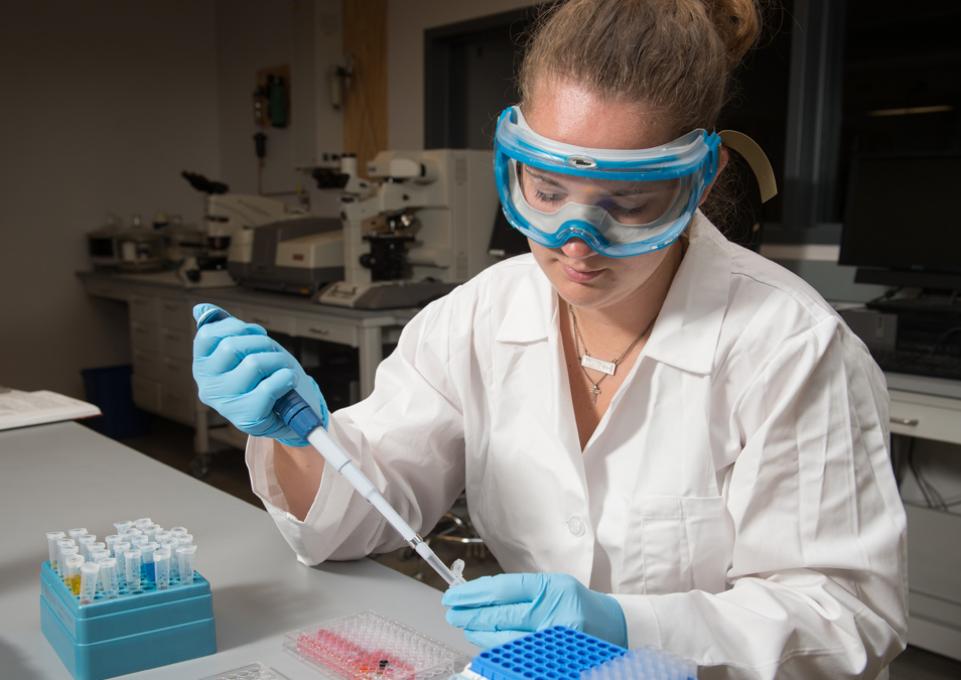 Student working in a lab