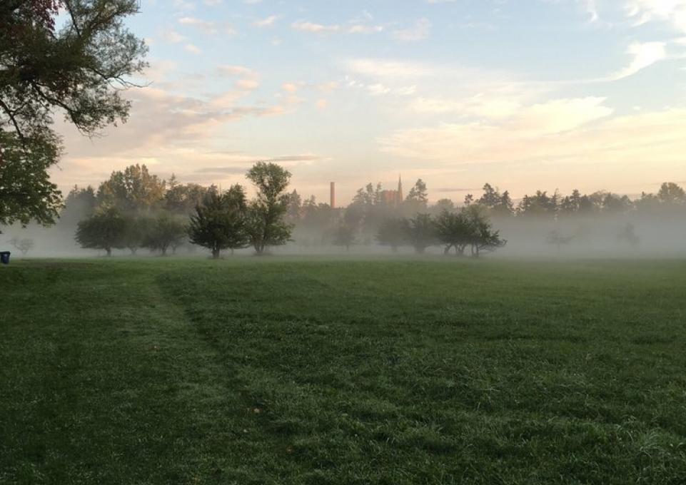 foggy amherst state park