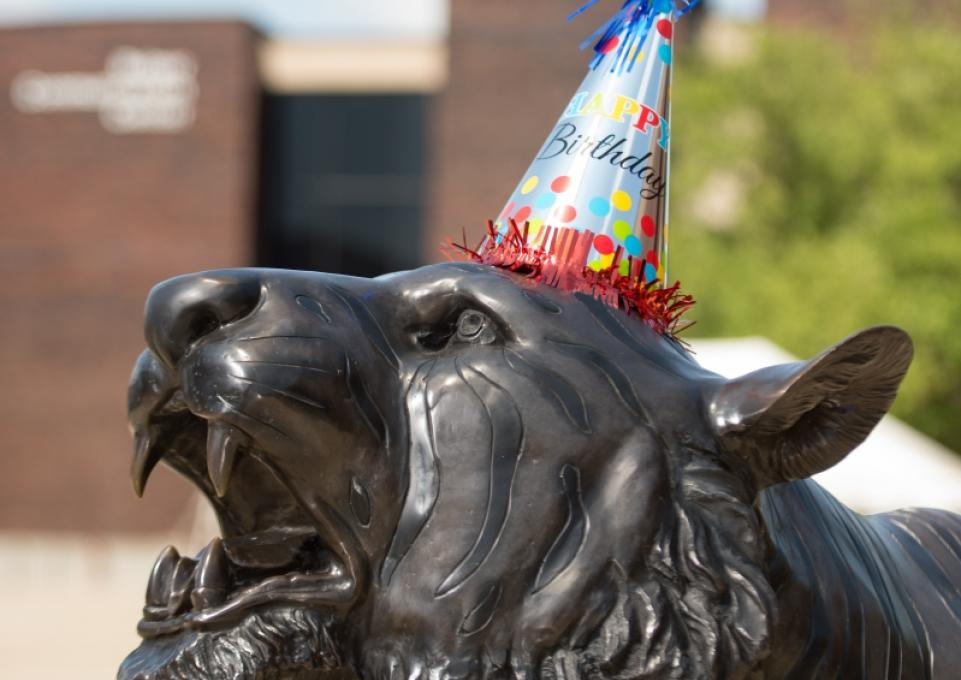 Bengal birthday hat