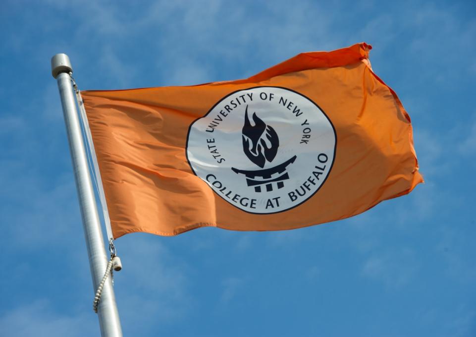 Buffalo State Flag