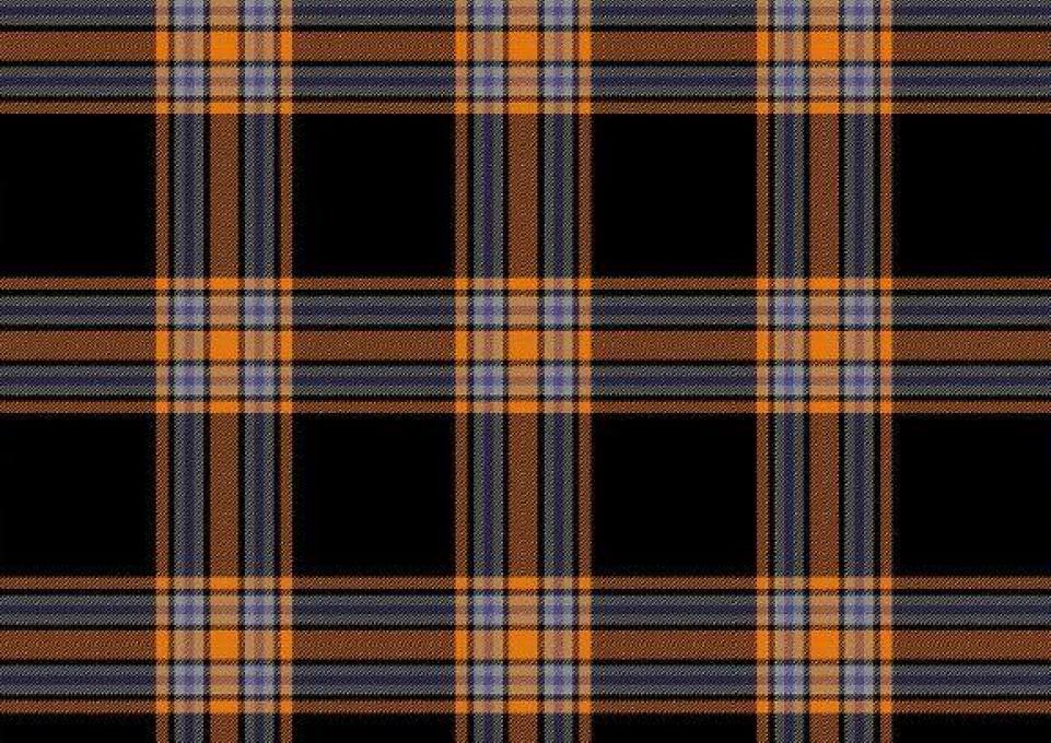 buffalostateplaid.jpg