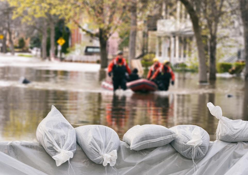 neighborhood flooding