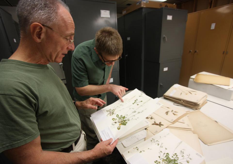 herbarium1.jpg