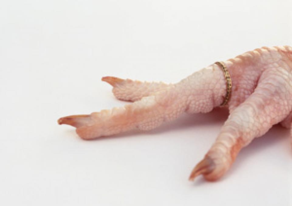 chicken foot