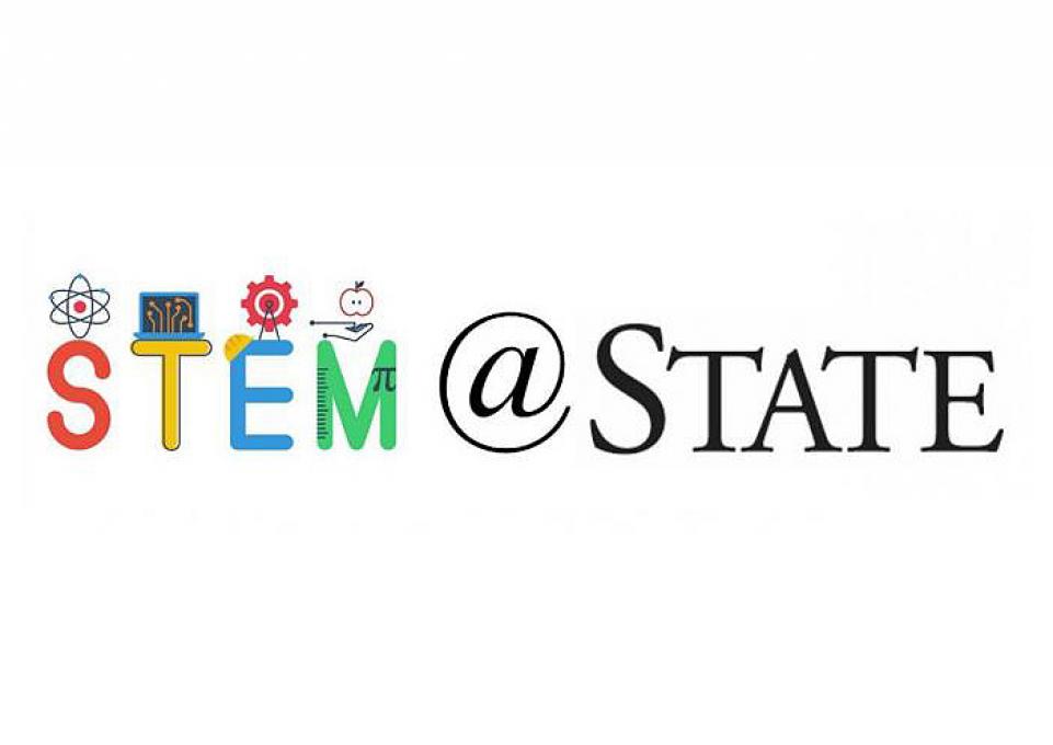 stem-state.jpg